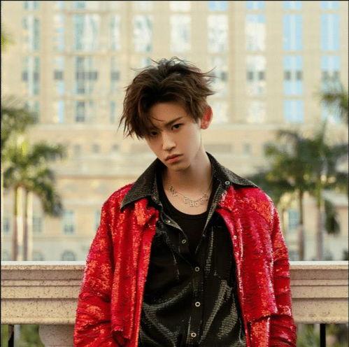 王琳凯新闻最新爆料,揭秘明星背后的真实故事